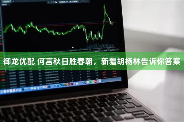 御龙优配 何言秋日胜春朝，新疆胡杨林告诉你答案