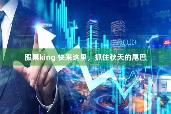 股票king 快来这里，抓住秋天的尾巴